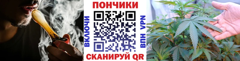 Канабис сатива  Купить  Каневская 